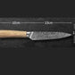 Damascus Kitchen Knife