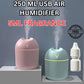 Air Humidifier